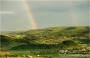 tg-2010_9457.jpg